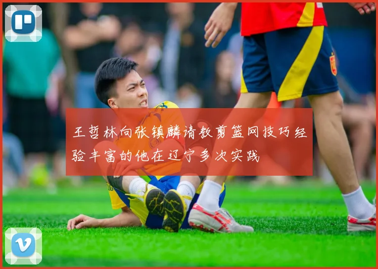 王哲林向张镇麟请教剪篮网技巧经验丰富的他在辽宁多次实践